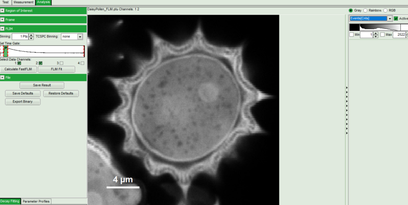 flim-image_after_time-gate_selection4.png